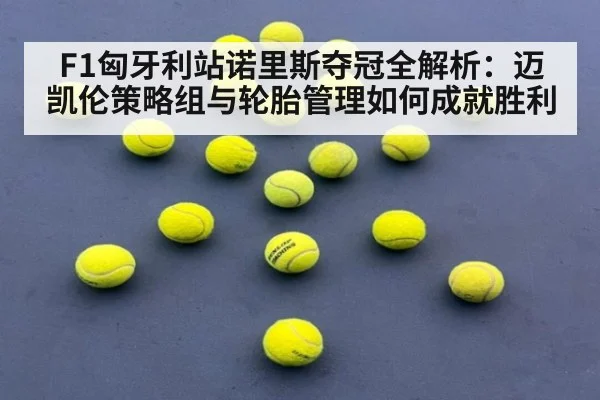 F1匈牙利站诺里斯夺冠全解析：迈凯伦策略组与轮胎管理如何成就胜利