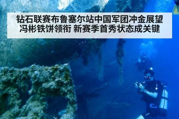 钻石联赛布鲁塞尔站中国军团冲金展望 冯彬铁饼领衔 新赛季首秀状态成关键